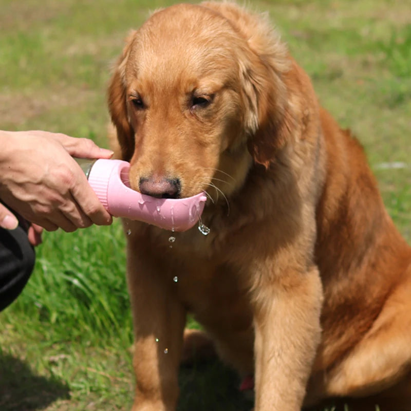 Holapet AquaBuddy: Hidratação Prática e Sustentável para Seu Pet em Qualquer Lugar